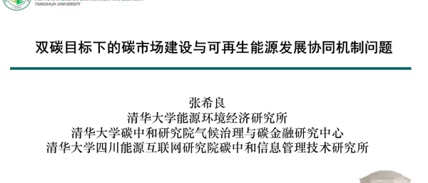 碳中和目标下的碳市场和可再生能源政策协同发展问题探讨