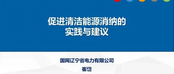 促进清洁能源消纳的实践与建议