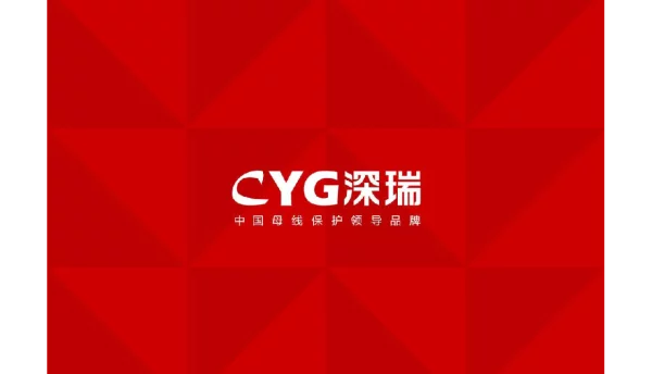 220kV、500kV母线保护装置培训