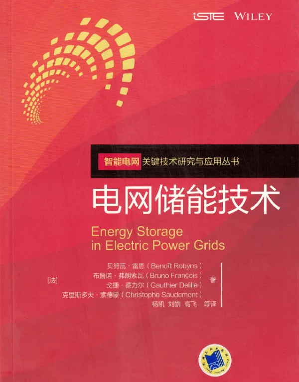 智能电网关键技术研究与应用丛书电网储能技术