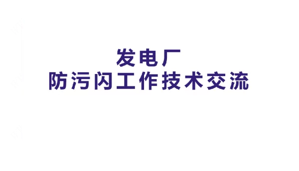 发电厂防污闪技术交流