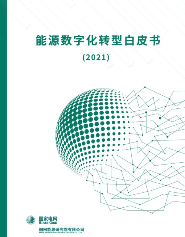 国网能源研究院-能源数字化转型白皮书（2021）