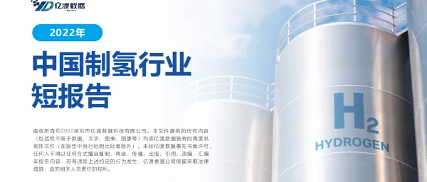 中国制氢行业短报告---亿渡数据