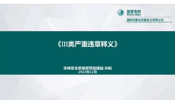 2022年国网公司反违章工作通报（35-36）