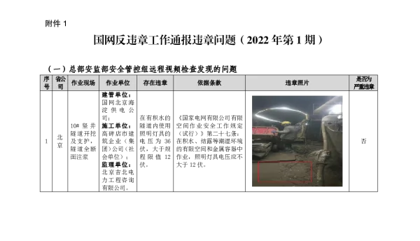 国网反违章工作通报违章问题（2022年第1期）