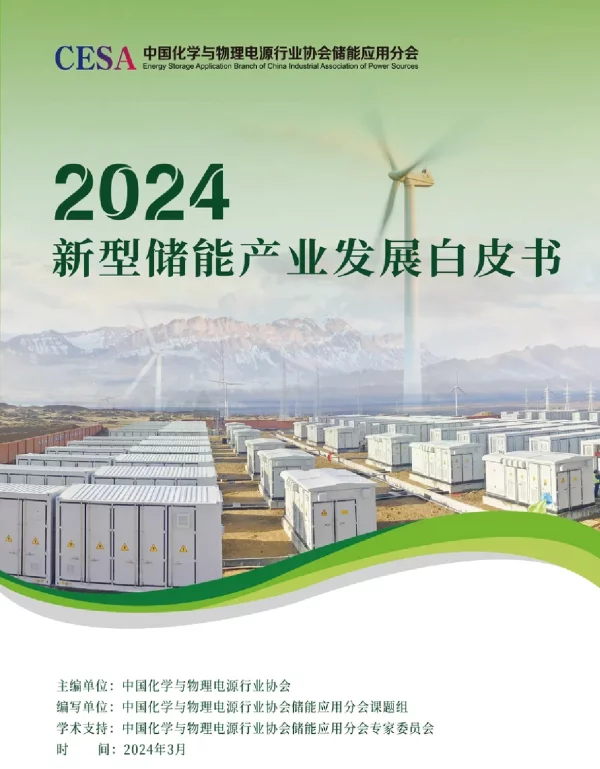 2024年中国新型储能产业发展白皮书