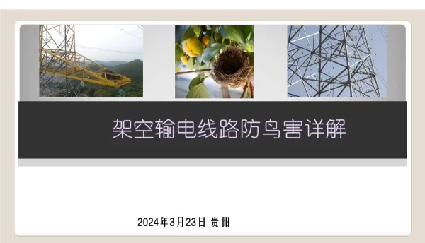 2024架空输电线路防鸟害详解