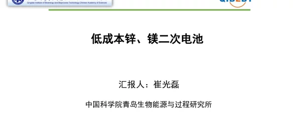 崔光磊--低成本锌镁二次电池