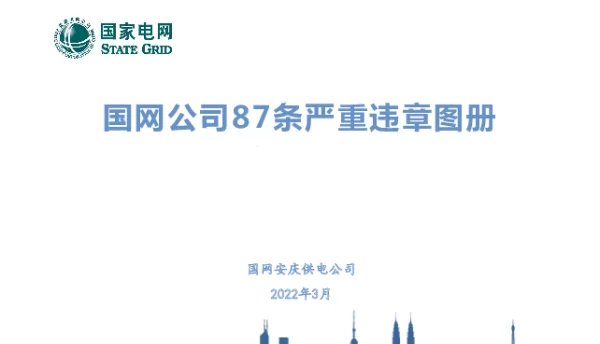 国网公司87条严重违章图册