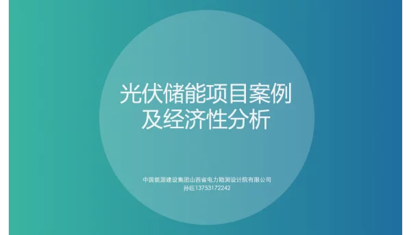 光伏+储能项目案例及经济性分析