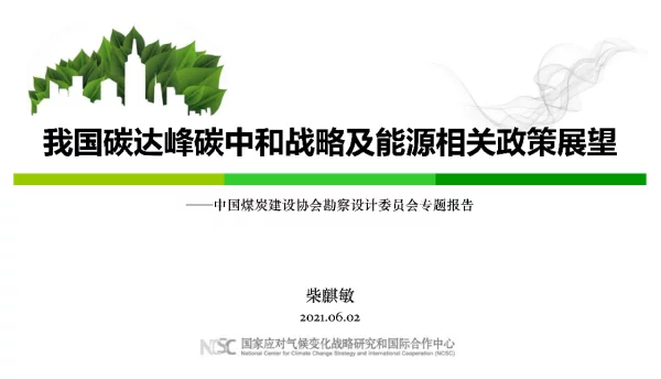 【专家PPT】我国碳达峰碳中和战略及能源相关政策展望-图片版PPT-75页