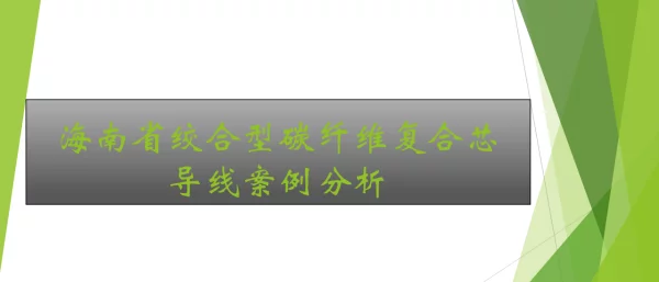 海南省绞合型碳纤维复合芯导线金具工程案例分析
