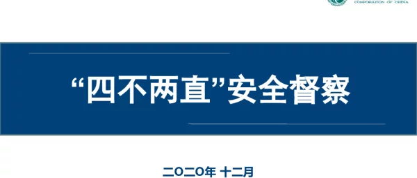 国家电网四不两直安全督察宣贯材料