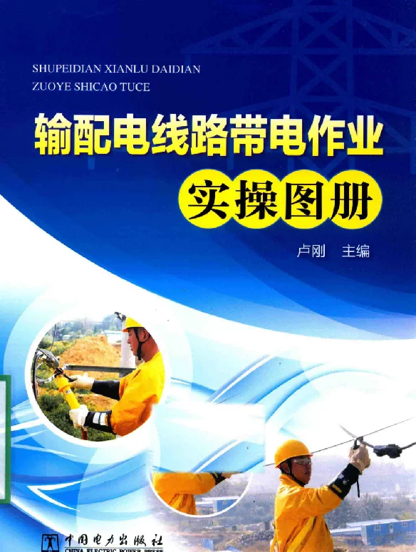 输配电线路带电作业实操图册卢刚主编2016年版
