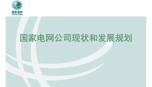 国家电网公司现状和发展规划