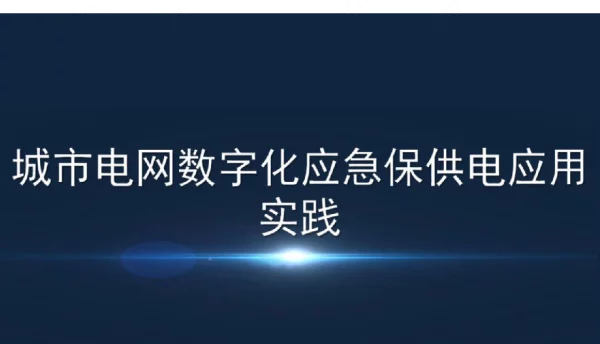 电网数字化应急保供电应用实践