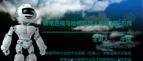带电巡视与检修机器人的研制及应用