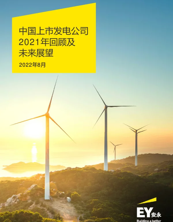 中国上市发电公司2021年回顾及未来展望