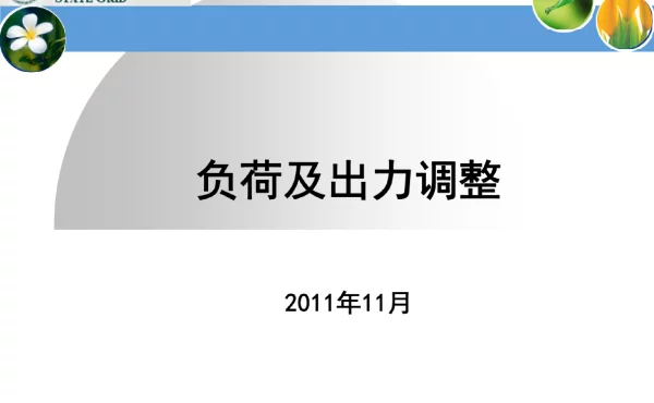 电力负荷及发电机出力调整