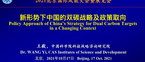 王毅_新形势下中国的双碳战略及政策取向-WY-final