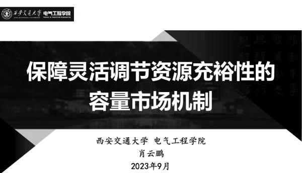 肖云鹏：保障灵活调节资源充裕性的容量市场机制