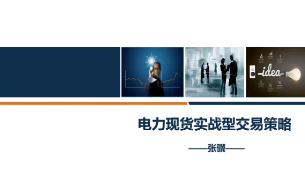 电力现货交易策略与案例分析课件102页