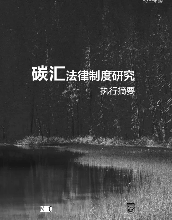 碳汇法律制度研究（ES）