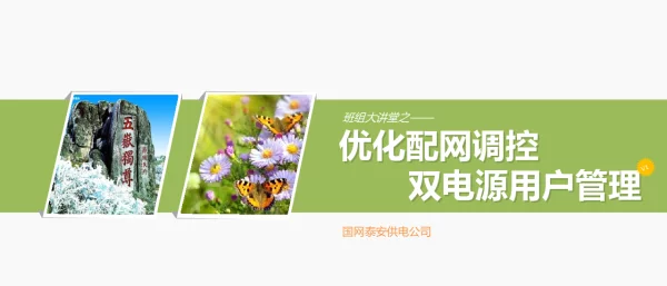 优化配网调控双电源用户管理