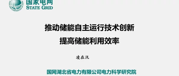 2023推动储能自主运行技术创新提高储能利用效率（凌在汛）