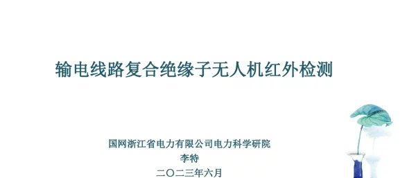 输电线路复合绝缘子无人机红外检测