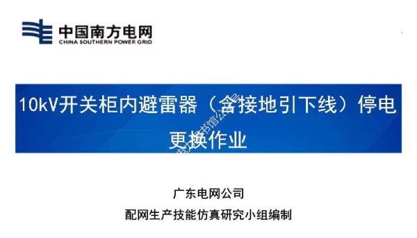10kV开关柜内避雷器（含接地引下线）停电更换作业