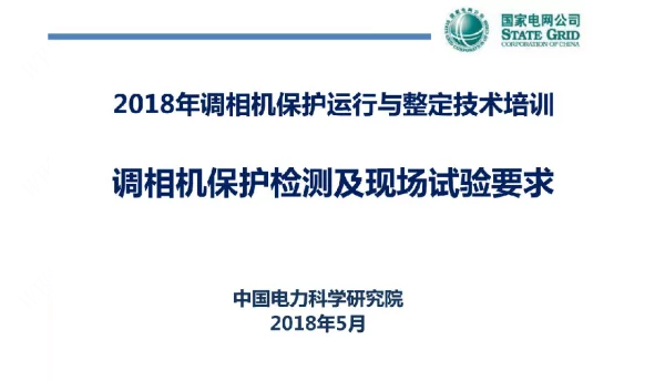 调相机培训-调相机保护检测及现场试验要求
