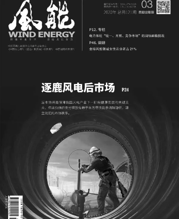 《风能》杂志2020.03