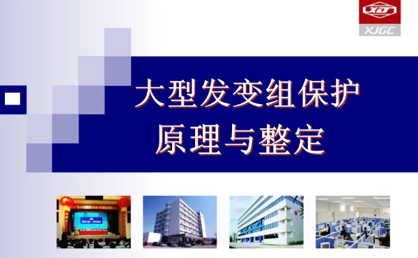 发变组保护原理与整定转子接地