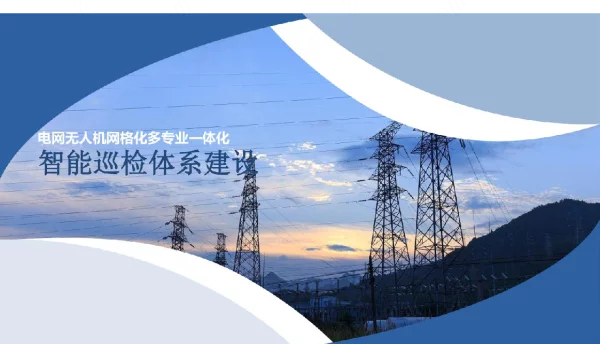 电网无人机网格化多专业一体化智能巡检体系建设
