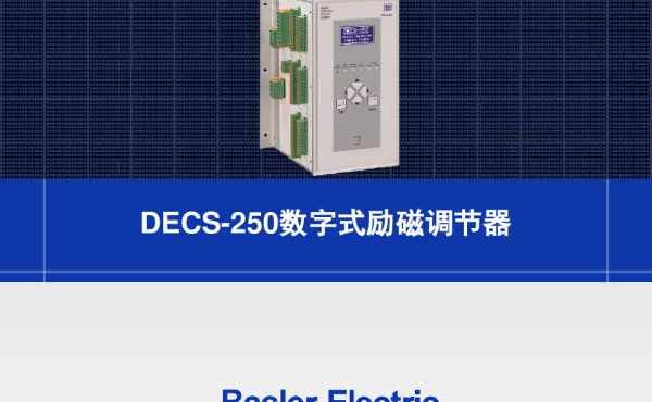 DECS-250产品说明