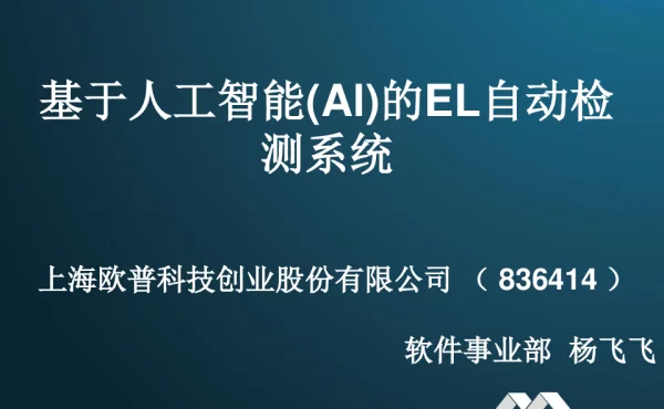 基于人工智能 Al 的EL自动检测系统-杨飞飞