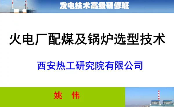 139页火电厂配煤及锅炉选型技术