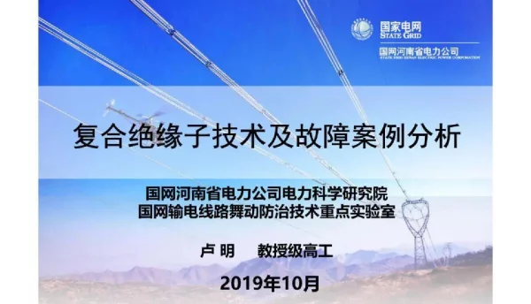 复合绝缘子技术及故障案例分析（河南电科学院）