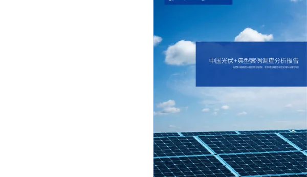 中国光伏+典型案例调查分析报告---科城能源环境研究院