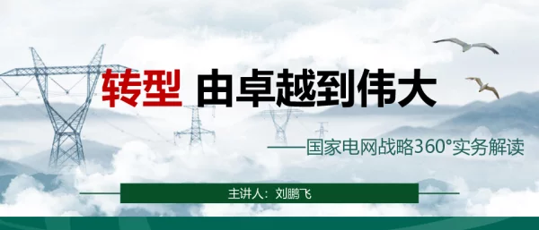国家电网战略解读主讲义-刘鹏飞