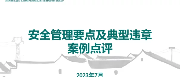 安全管理要点解读及反违章案例分析