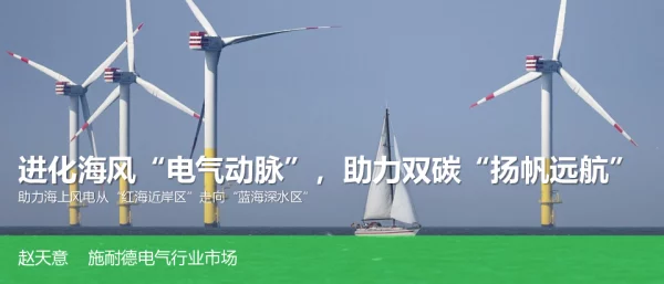 进化海风“电气动脉”，助力双碳“扬帆远航”_1019-赵天意