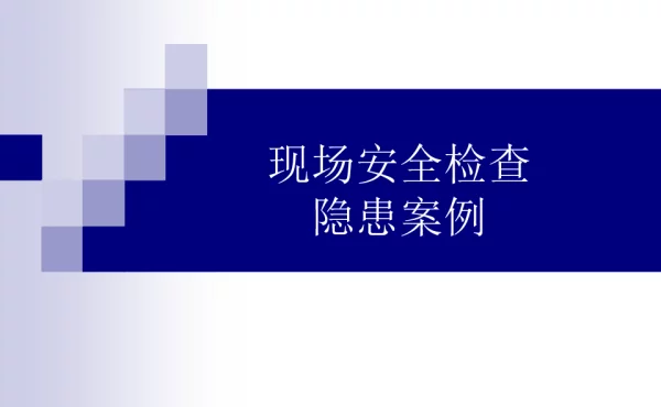 98项安全隐患检查