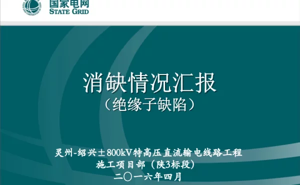 绝缘子缺陷消缺情况PPT（完成）