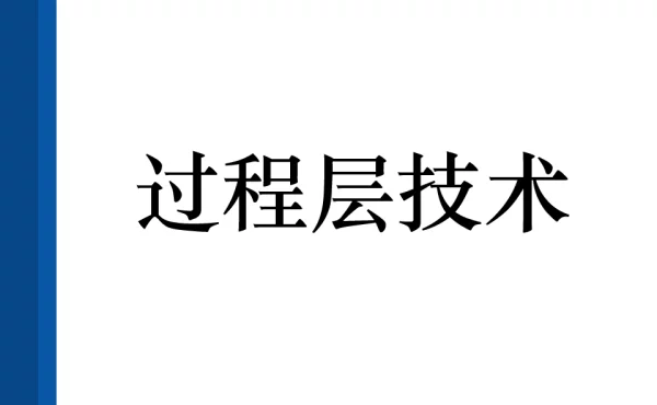 过程层技术