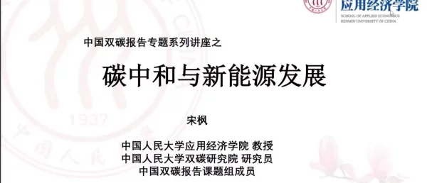 碳中和目标与可再生能源发展