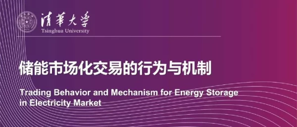 储能市场化交易的行为与机制