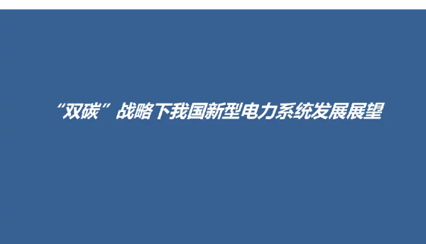 “双碳”战略下新型电力系统发展展望