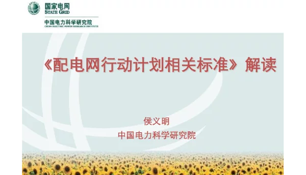 《配电网行动计划相关标准》解读